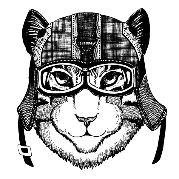 Cat Animal con casco de moto. Imagen para la ropa de los niños del jardín de infantes, niños. Camiseta, tatuaje, emblema, insignia, logotipo, parche — Vector de stock