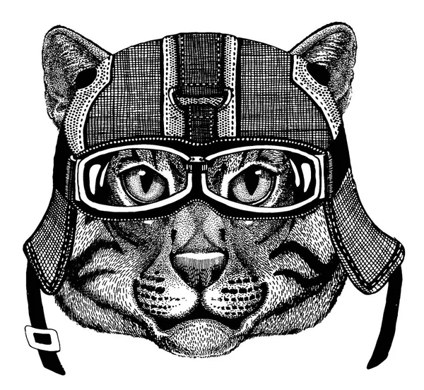 Άγρια γάτα Ζώο φορώντας κράνος μοτοσικλέτας. Εικόνα για παιδικά ρούχα νηπιαγωγείου, παιδιά. T-shirt, τατουάζ, έμβλημα, σήμα, λογότυπο, έμπλαστρο — Διανυσματικό Αρχείο
