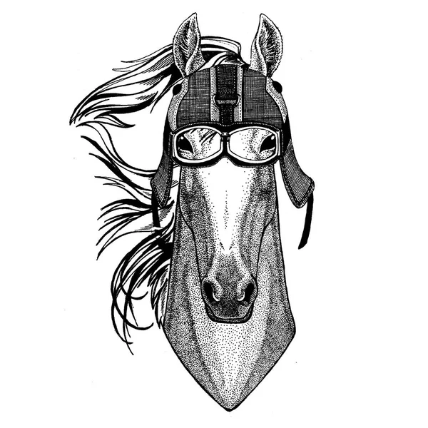 Ló, ló, ló, lovag, paripa, vadállat motorkerékpár sisakot visel. Kép az óvodásoknak, gyerekek. Póló, tetoválás, embléma, jelvény, logó, tapasz — Stock Vector