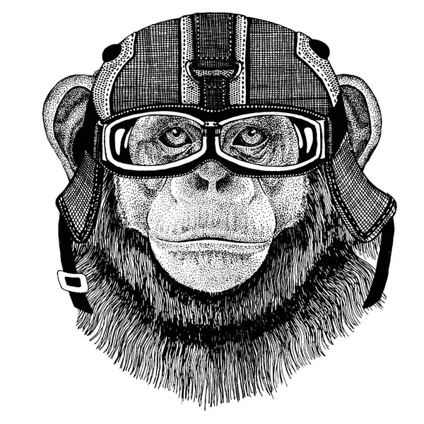 Chimpanzé, singe Hipster animal portant un casque de moto. Image pour la maternelle vêtements pour enfants, les enfants. T-shirt, tatouage, emblème, badge, logo, patch — Image vectorielle