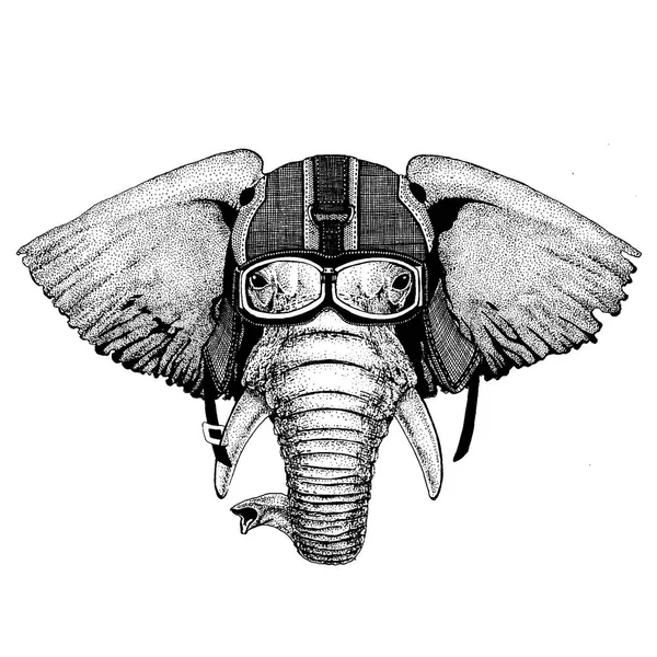 Слон, индийский или африканский слон Хипстер животное в мотоциклетном шлеме. Изображение для детской одежды детского сада, детей. Футболка, татуировка, эмблема, значок, логотип, пластырь — стоковый вектор