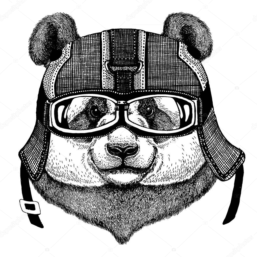 Animal wearing motorycle helmet. Image for kindergarten children clothing, kids. T-shirt, tattoo, emblem, badge, logo patches