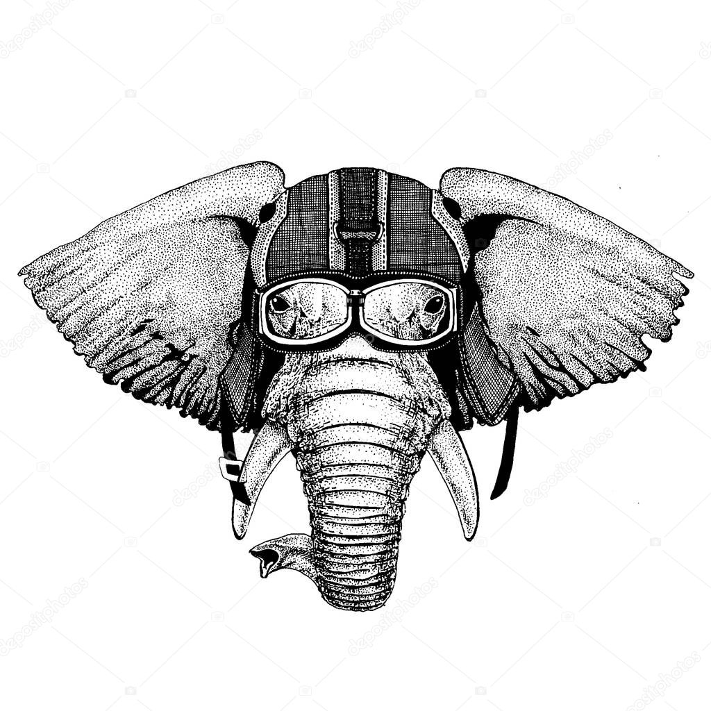 Animal wearing motorycle helmet. Image for kindergarten children clothing, kids. T-shirt, tattoo, emblem, badge, logo patches