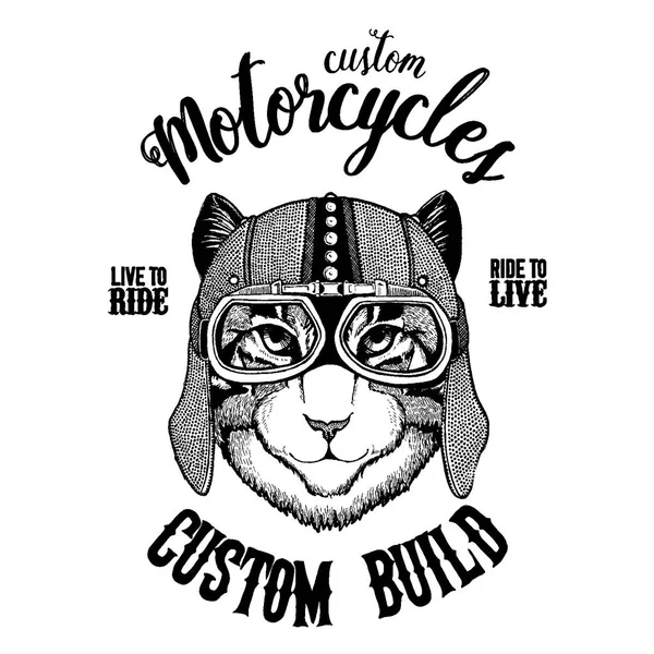 Bild der Hauskatze Biker, Motorrad Tier. Handgezeichnetes Bild für Tätowierung, Emblem, Abzeichen, Logo, Aufnäher, T-Shirt — Stockvektor