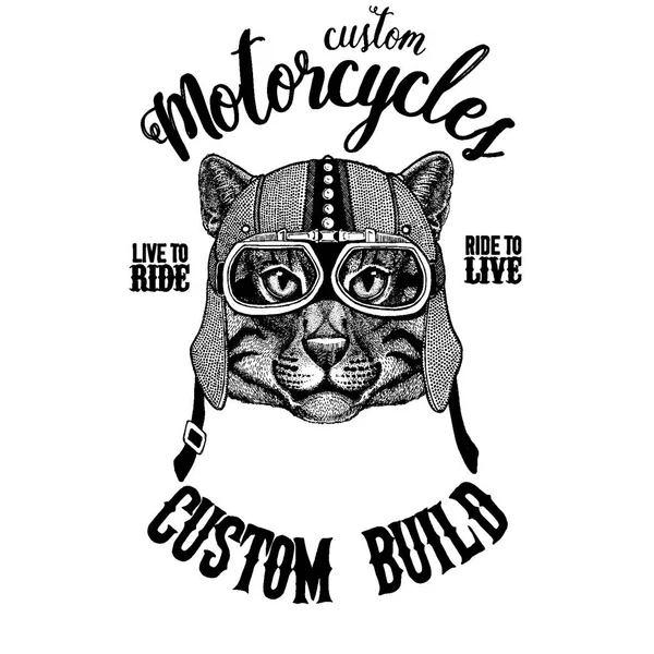 Vild katt fiske cat MC, motorcykel djur. Hand dras bilden för tatuering, emblem, badge, logotyp, patch, t-shirt — Stock vektor