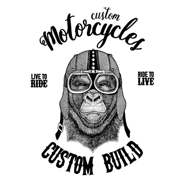 Gorila, macaco, macaco Biker, animal de moto. Imagem desenhada à mão para tatuagem, emblema, crachá, logotipo, patch, t-shirt —  Vetores de Stock