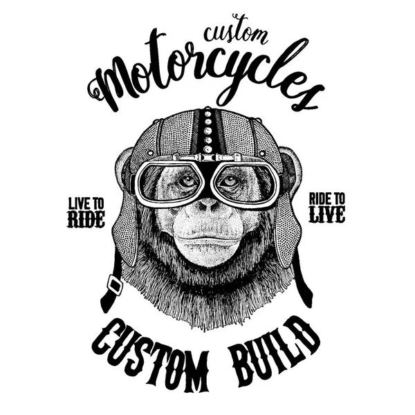 Chimpanzé Monkey Biker, animal de motocicleta. Imagem desenhada à mão para tatuagem, emblema, crachá, logotipo, patch, t-shirt —  Vetores de Stock