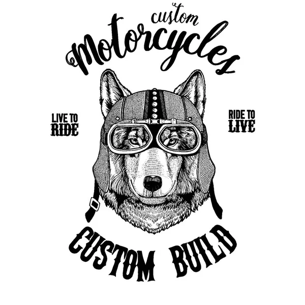 Wolf Dog Biker, animal de motocicleta. Imagen dibujada a mano para tatuaje, emblema, insignia, logotipo, parche, camiseta — Vector de stock