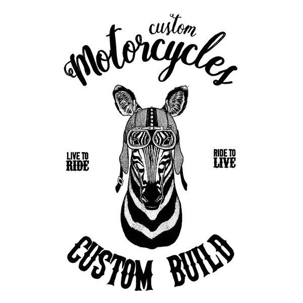 Zebra Horse Biker, animal de la motocicleta. Imagen dibujada a mano para tatuaje, emblema, insignia, logotipo, parche, camiseta — Vector de stock