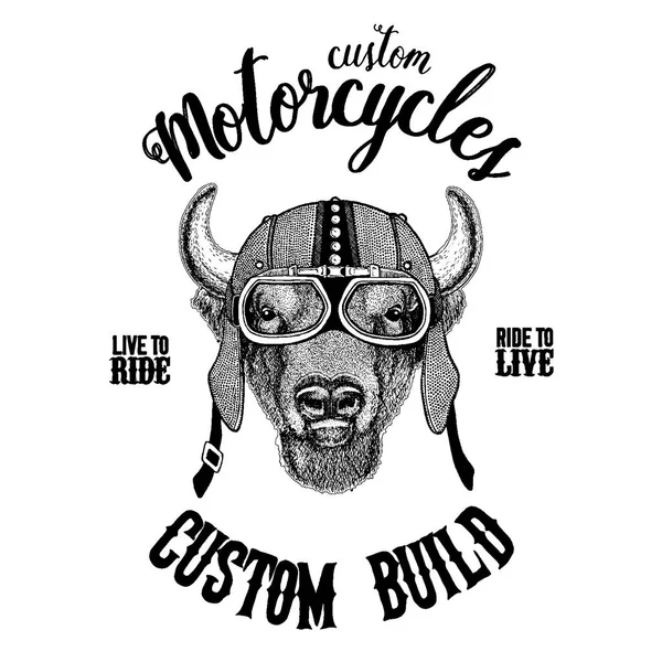 Buffalo, bisonte, bue, toro motociclista, animale da moto. Immagine disegnata a mano per tatuaggio, emblema, distintivo, logo, patch, t-shirt — Vettoriale Stock