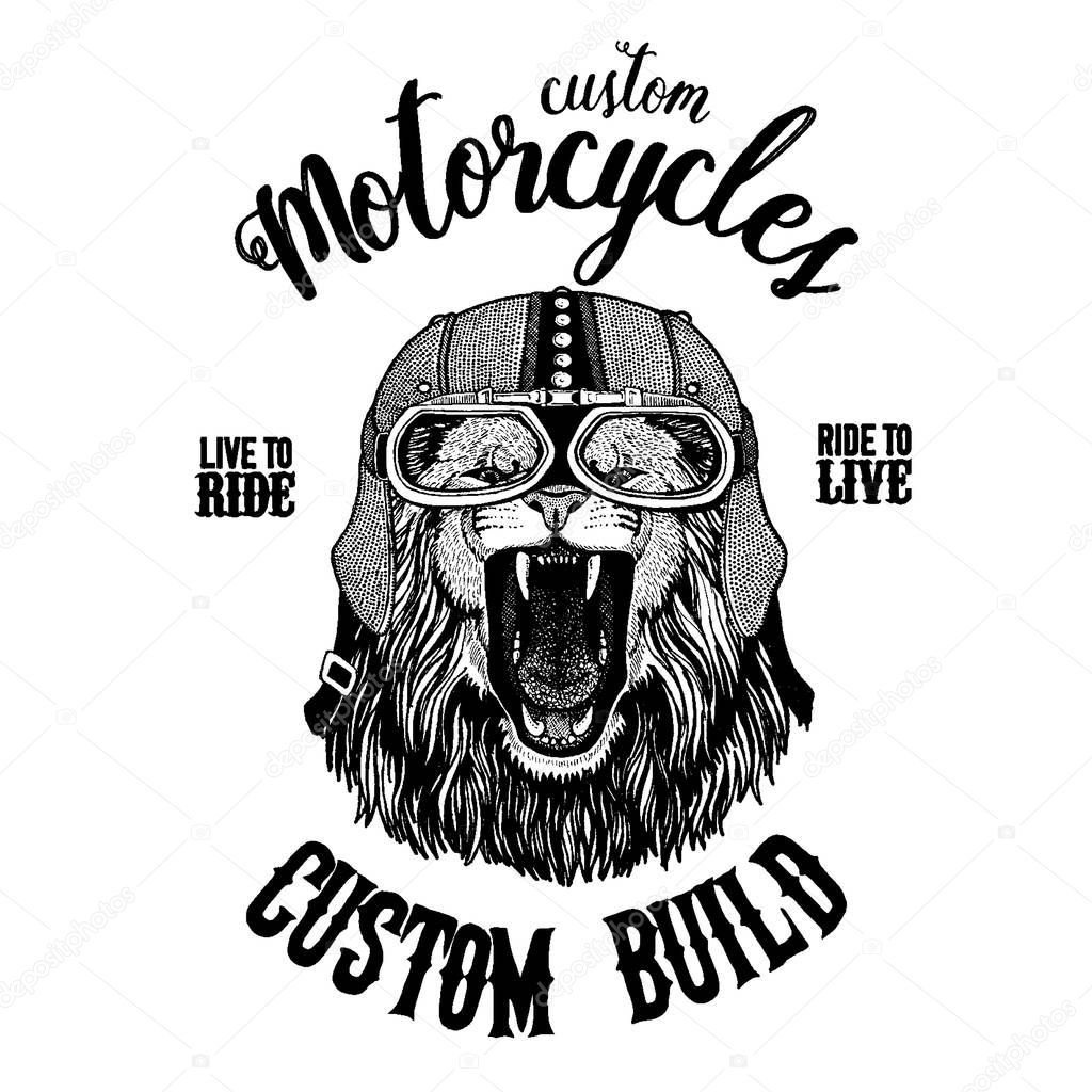 Wild lion. Biker, motorcycle animal. Hand drawn image for tattoo, emblem, badge, logo, patch, t-shirt