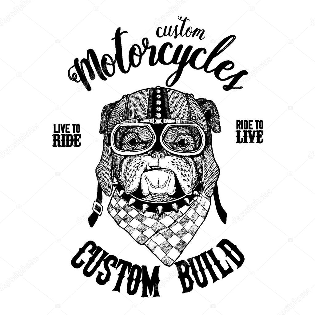 Bulldog, dog. Biker, motorcycle animal. Hand drawn image for tattoo, emblem, badge, logo, patch, t-shirt