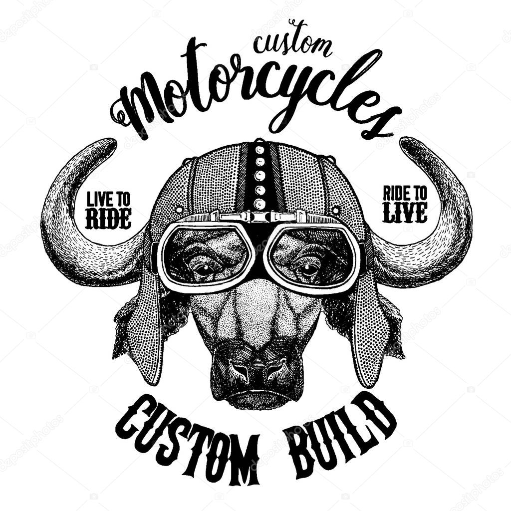 Buffalo, bull, ox Biker, motorcycle animal. Hand drawn image for tattoo, emblem, badge, logo, patch, t-shirt
