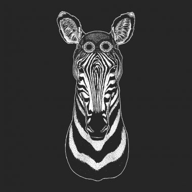Gösterim amacıyla dövme, amblem, rozet, logo, havacı, motosiklet, motosiklet kask giyiyor yama serin hayvan Zebra at el çekilmiş.