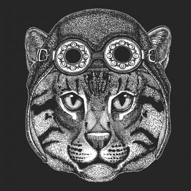 Vahşi kedi balıkçı kedi el dövme, amblem, rozet, logo, havacı, motosiklet, motosiklet kask giyiyor yama serin hayvan için resmi çizilmiş.