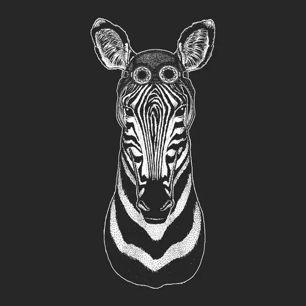 Zebra Horse Ручная иллюстрация для татуировки, эмблемы, значка, логотипа, патча Крутое животное в авиаторе, мотоцикле, байкерском шлеме . — стоковый вектор