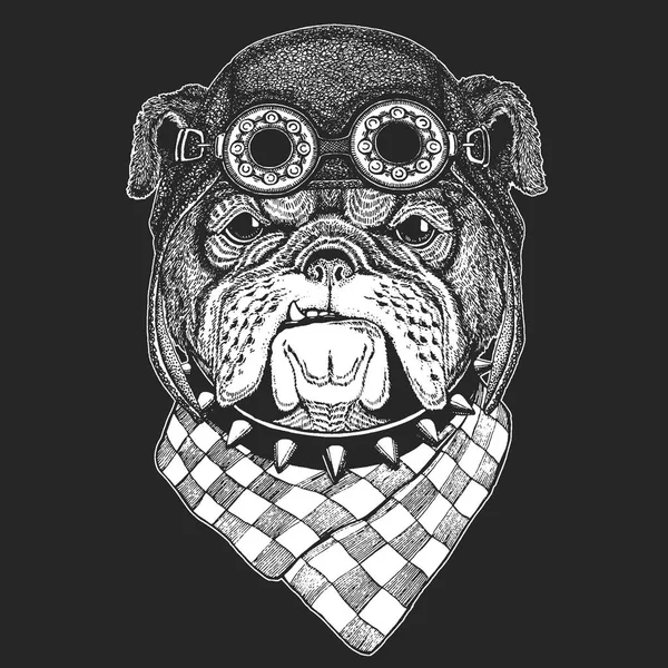 Bulldog Immagine vintage disegnata a mano per t-shirt, tatuaggio, emblema, distintivo, logo, patch Cool animal wearing aviator, motocicletta, casco biker . — Vettoriale Stock