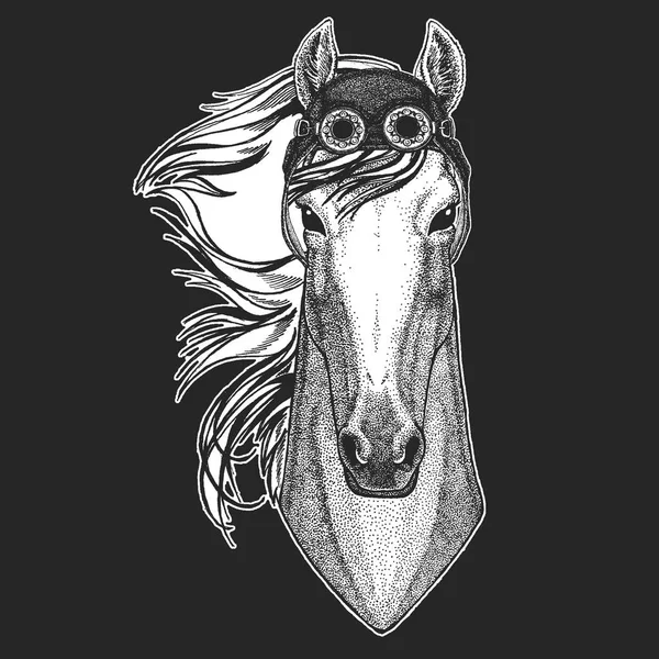 Ló, hoss, lovag, paripa, futómadár kézzel rajzolt kép tetoválás, jelkép, jelvény, embléma, javítás, póló Cool állat visel aviator, motorkerékpár, motoros bukósisak. — Stock Vector