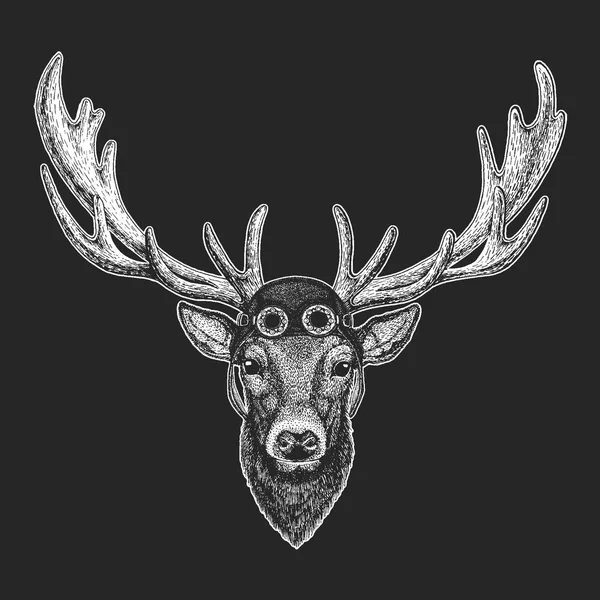 Deer Hand drawn illustration for tattoo, emblem, badge, logo, patch, t-shirt Cool animal wearing aviator, motorcycle, biker helmet. — Stock Vector