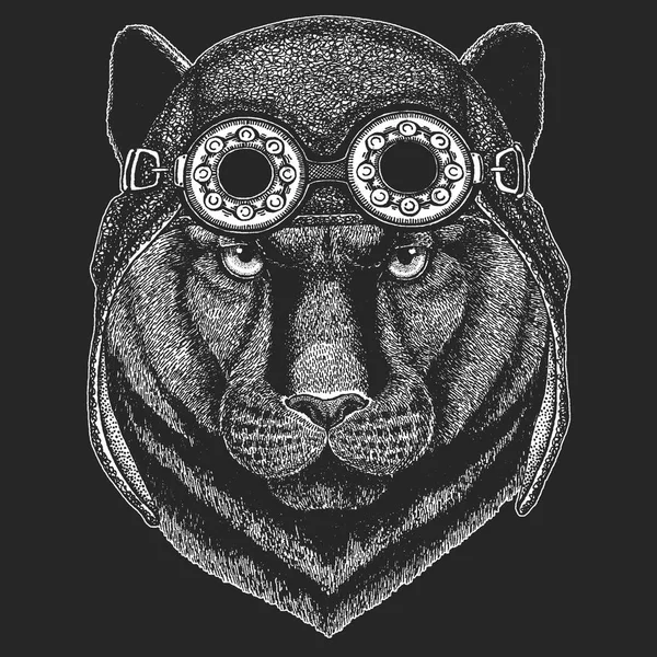 Pantera Puma Cougar Gato selvagem Imagem desenhada à mão para tatuagem, emblema, crachá, logotipo, patch, camiseta Animal legal vestindo aviador, motocicleta, capacete de motociclista . — Vetor de Stock