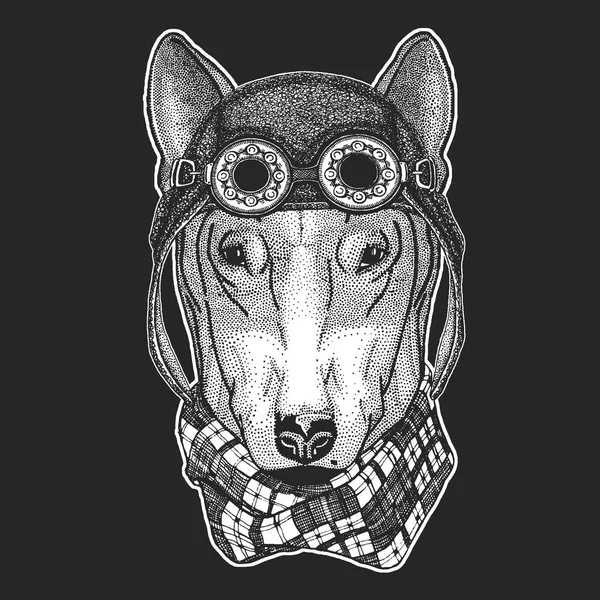 PERRO para el diseño de la camiseta Ilustración dibujada a mano para el tatuaje, emblema, insignia, logotipo, parche Aviador de uso animal fresco, motocicleta, casco del motorista . — Archivo Imágenes Vectoriales