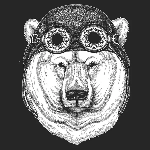 Nagy jegesmedve, fehér medve kézzel rajzolt ábra, tetoválás, póló, jelkép, jelvény, logó, javítás, hűvös állati visel aviator, motorkerékpár, motoros bukósisak. — Stock Vector