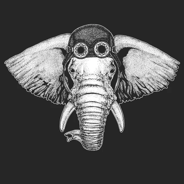 Afrikanische oder indische Elefanten handgezeichnete Illustration für Tätowierung, Emblem, Abzeichen, Logo, Aufnäher, T-Shirt cooles Tier tragen Flieger, Motorrad, Motorradhelm. — Stockvektor