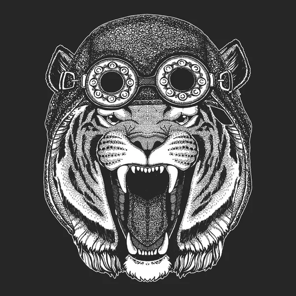 Wild tiger Hand drawn image for tattoo, emblem, badge, logo, patch, t-shirt Cool animal wearing aviator, motorcycle, biker helmet. — Stock Vector