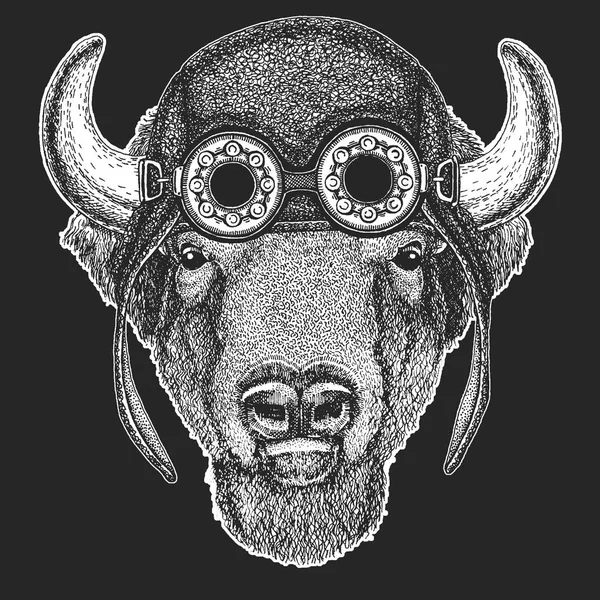 Bell'animale che indossa aviatore, moto, casco da motociclista. Buffalo, bisonte, bue, toro Immagine disegnata a mano per tatuaggio, emblema, distintivo, logo, patch — Vettoriale Stock