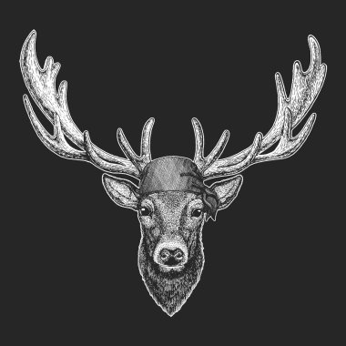 Geyik serin korsan, denizci, seawolf, denizci, motorcu hayvan dövme, t-shirt, amblem, rozet, logosu için yama. Motosiklet bandana ile görüntü