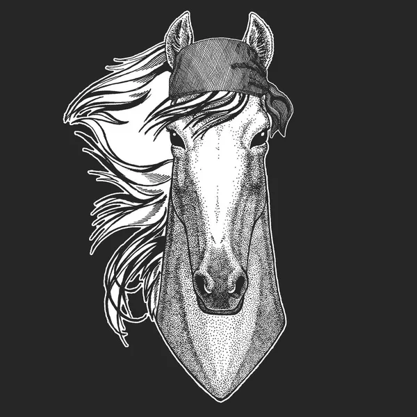 Caballo, hoss, caballero, corcel, courser Cool pirata, marinero, lobo marino, marinero, animal motorista para tatuaje, camiseta, emblema, insignia, logotipo, parche. Imagen con bandana de motocicleta — Archivo Imágenes Vectoriales