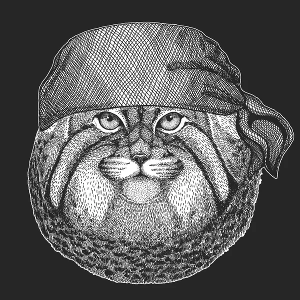 Wilde Katze manul cooler Pirat, Seemann, Seefahrer, Biker Tier zum Tätowieren, T-Shirt, Emblem, Abzeichen, Logo, Aufnäher. Bild mit Motorrad-Bandana — Stockvektor