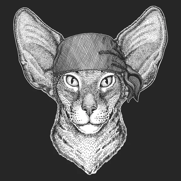 Gato oriental com orelhas grandes Pirata fresco, marinheiro, seawolf, marinheiro, animal de motociclista para tatuagem, t-shirt, emblema, crachá, logotipo, patch. Imagem com bandana motocicleta —  Vetores de Stock