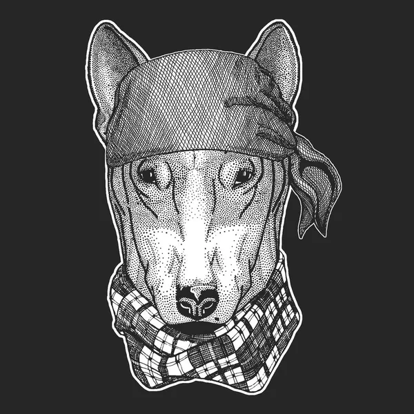 Pes pro tričko design Cool pirát, námořník, seawolf, námořník, biker zvíře pro tetování, tričko, znak, odznak, loga, opravy. Obrázek s motocyklu bandana — Stockový vektor