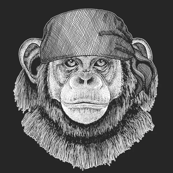 Schimpansenaffen coole Piraten, Seemänner, Seevögel, Matrosen, Biker Tier zum Tätowieren, T-Shirt, Emblem, Abzeichen, Logo, Aufnäher. Bild mit Motorrad-Bandana — Stockvektor