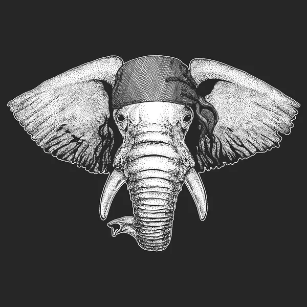 Éléphant africain ou indien Pirate cool, marin, loup de mer, marin, motard animal pour tatouage, t-shirt, emblème, insigne, logo, patch. Image avec bandana moto — Image vectorielle