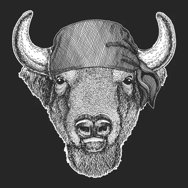 Buffalo, bisonte, buey, toro pirata fresco, marinero, lobo marino, marinero, animal motorista para tatuaje, camiseta, emblema, insignia, logotipo, parche. Imagen con bandana de motocicleta — Vector de stock