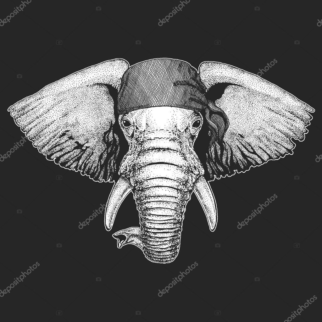 African or indian Elephant Cool pirate, seaman, seawolf, sailor, biker animal for tattoo, t-shirt, emblem, badge, logo, patch. Picture with motorcycle bandana