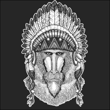 Yama maymun, maymun, köpek-maymun, maymun serin hayvan dövme, logo, amblem, rozet için tüyler Boho chic tarzı el çizilmiş görüntü ile Kızılderili Hint headdress giyiyor