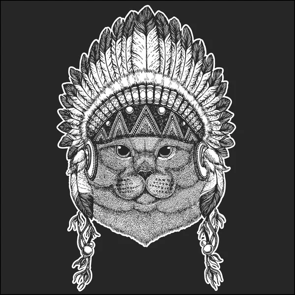 Brithish ädel katt manliga coola djur bär native american indian huvudbonad med fjädrar Boho chic stil Hand dras bilden för tatuering, emblem, badge, logo patch — Stock vektor