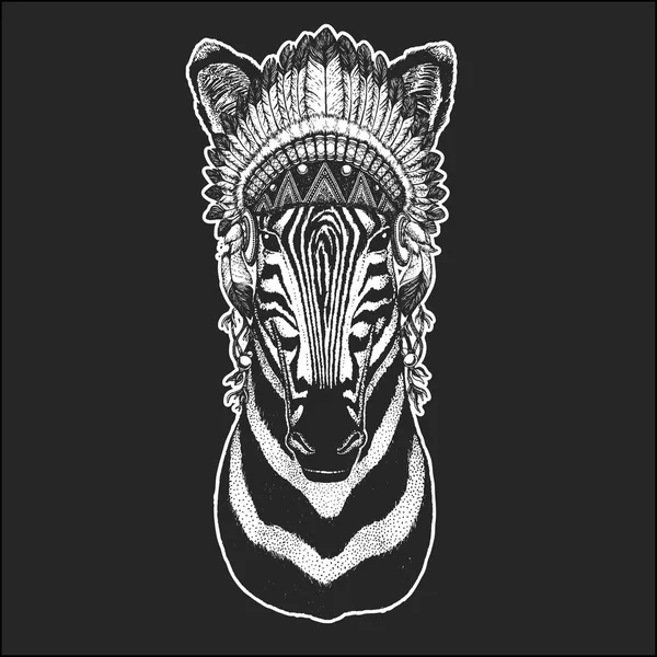 Zebra ló Cool állat visel indián indiai frizura a toll-elegáns stílus Boho kézzel rajzolt kép tetoválás, jelkép, jelvény, embléma, javítás — Stock Vector