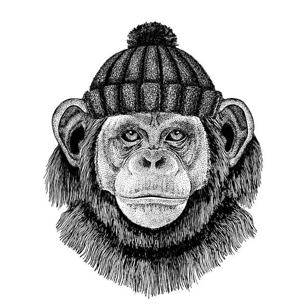 Chimpansee Monkey Cool dier met gebreide wintermuts. Warme hoofdtooi muts Kerstmuts voor tatoeage, t-shirt, embleem, badge, logo, patch — Stockvector