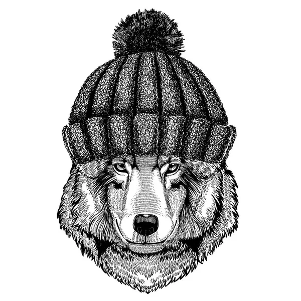 Wolf Dog Cool animal portant un chapeau d'hiver tricoté. Bonnet de Noël bonnet chaud pour tatouage, t-shirt, emblème, insigne, logo, patch — Image vectorielle