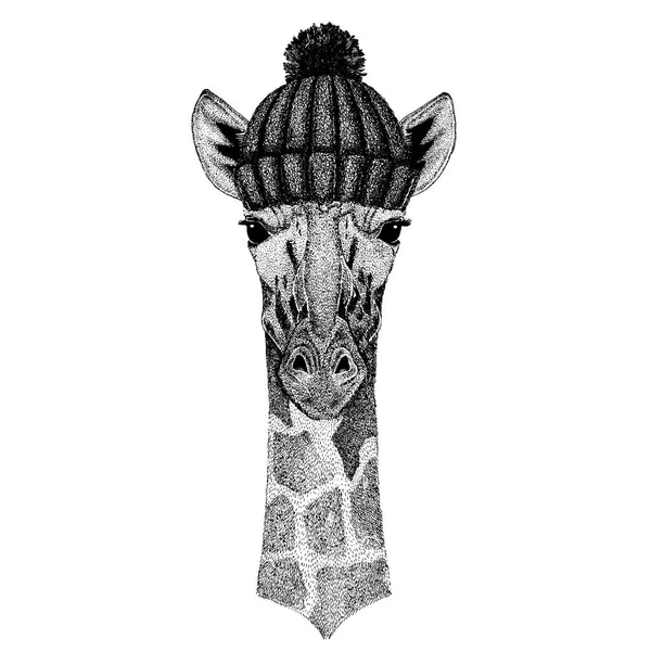 Camélope, girafe Animal cool portant un chapeau d'hiver tricoté. Bonnet de Noël bonnet chaud pour tatouage, t-shirt, emblème, insigne, logo, patch — Image vectorielle