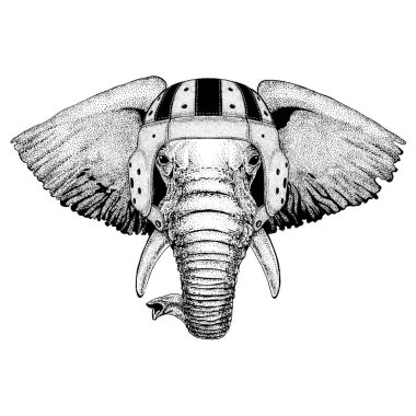 Rugby miğfer Afrika ya da Hindistan fil el serin hayvan illüstrasyon dövme, amblem, rozet, logo, yama, t-shirt için çizilmiş