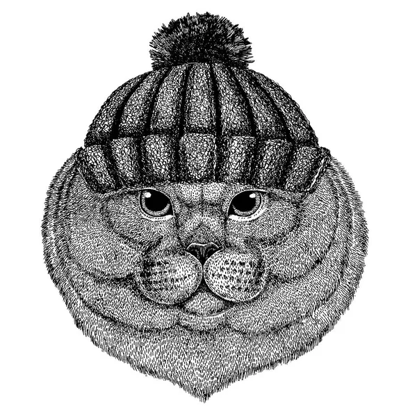 Βρετανική γάτα Δροσερό ζώο φορώντας πλεκτό χειμερινό καπέλο. Χριστουγεννιάτικο καπέλο για τατουάζ, t-shirt, έμβλημα, σήμα, λογότυπο, μπάλωμα — Διανυσματικό Αρχείο