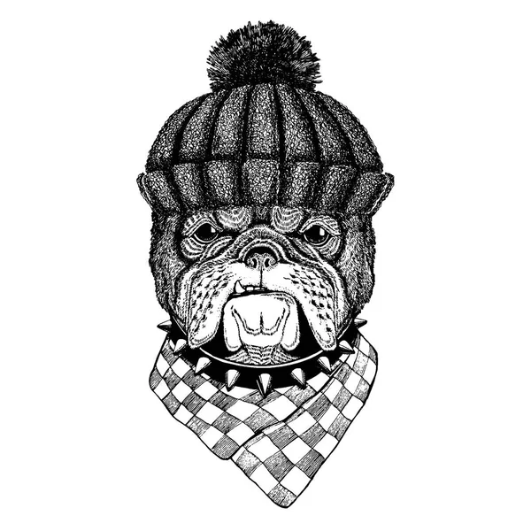 Dog Cool animal vestindo chapéu de inverno de malha. Gorro de Natal de gorro de cobertura para a cabeça quente para tatuagem, t-shirt, emblema, emblema, logotipo, patch — Vetor de Stock