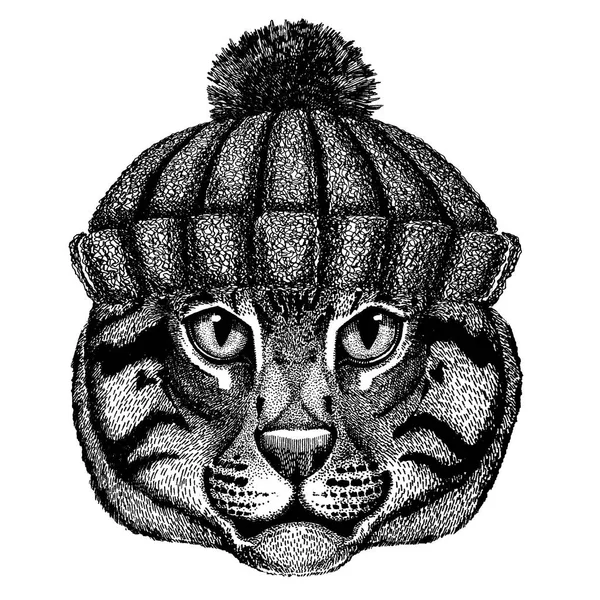 Gato salvaje Gato de pesca Animal fresco con sombrero de invierno de punto. Gorro de tocado caliente Gorra de Navidad para tatuaje, camiseta, emblema, insignia, logotipo, parche — Vector de stock