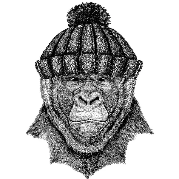 Gorille, singe, singe Cool animal portant un chapeau d'hiver tricoté. Bonnet de Noël bonnet chaud pour tatouage, t-shirt, emblème, insigne, logo, patch — Image vectorielle