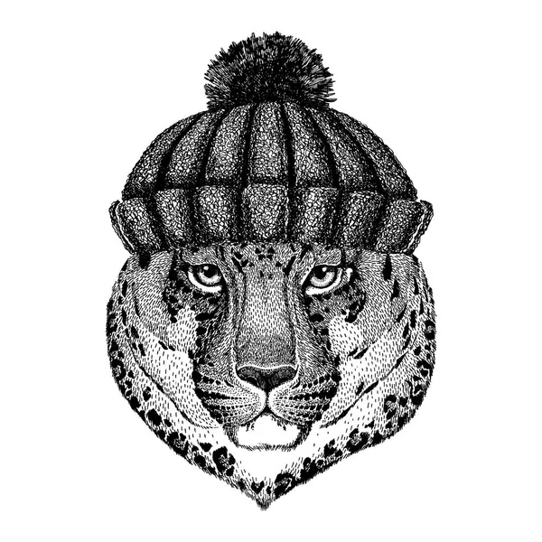 Vahşi kedi Leopar Kedi-Dağ Panter Havalı hayvan örülmüş kış şapkası takıyor. Dövme, tişört, amblem, rozet, logo, yama için başlık. — Stok Vektör